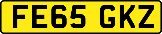 FE65GKZ