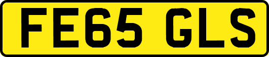 FE65GLS