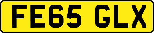 FE65GLX