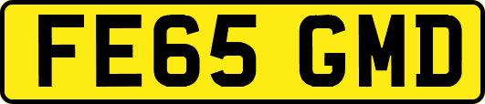 FE65GMD