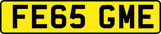 FE65GME