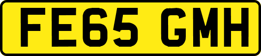 FE65GMH