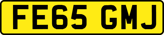 FE65GMJ