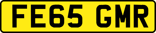 FE65GMR