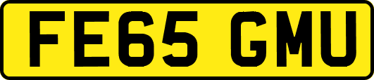 FE65GMU