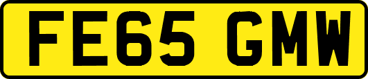 FE65GMW