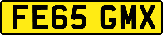 FE65GMX