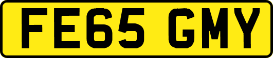 FE65GMY