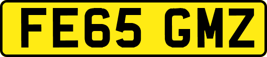 FE65GMZ