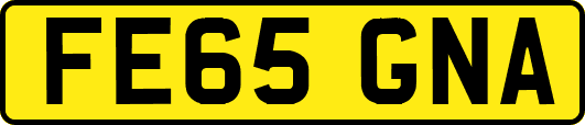 FE65GNA