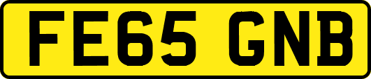 FE65GNB