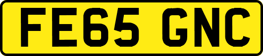 FE65GNC