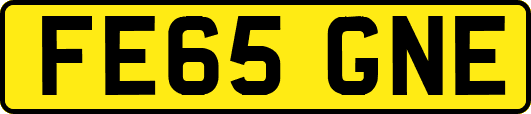 FE65GNE