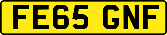 FE65GNF