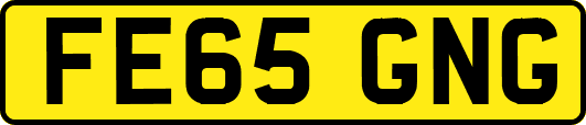 FE65GNG