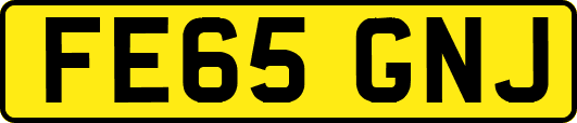 FE65GNJ