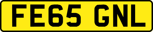 FE65GNL