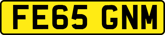 FE65GNM