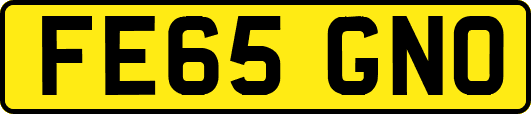 FE65GNO