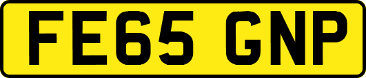 FE65GNP