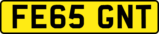 FE65GNT