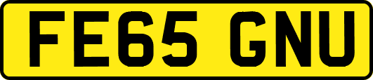 FE65GNU