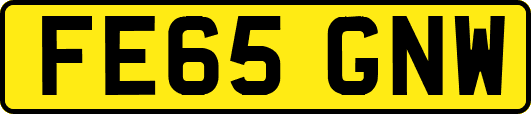FE65GNW