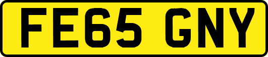 FE65GNY
