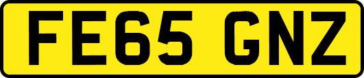 FE65GNZ