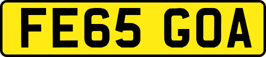 FE65GOA