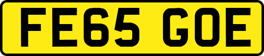 FE65GOE