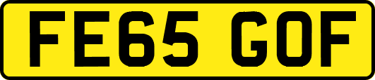 FE65GOF