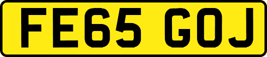 FE65GOJ