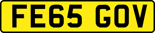 FE65GOV