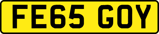 FE65GOY