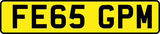 FE65GPM