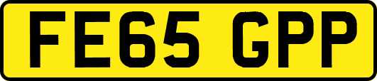 FE65GPP