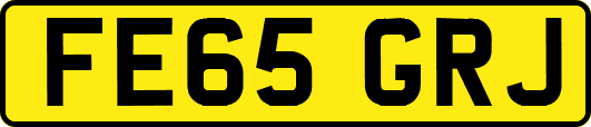 FE65GRJ
