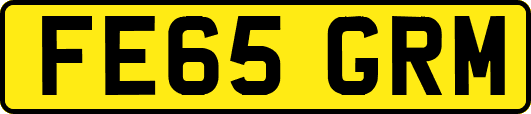 FE65GRM