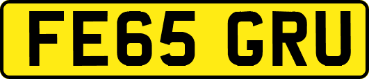 FE65GRU