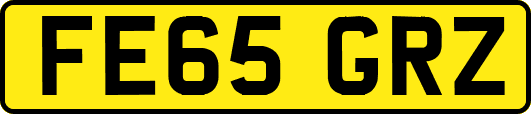 FE65GRZ