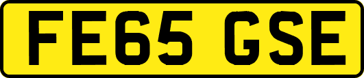 FE65GSE