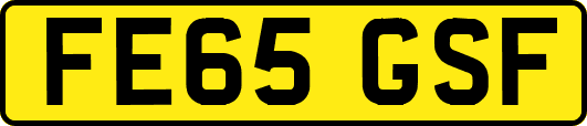 FE65GSF