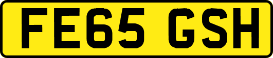 FE65GSH