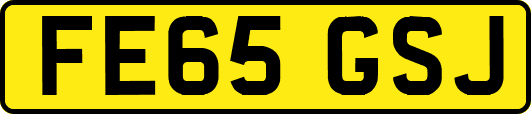 FE65GSJ