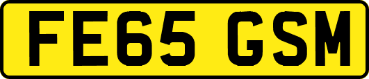 FE65GSM