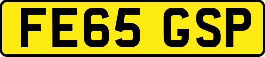 FE65GSP