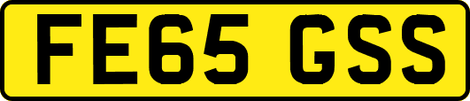 FE65GSS
