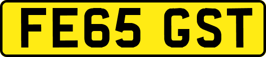 FE65GST