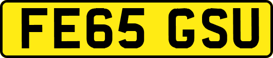 FE65GSU